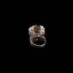 Anillo de Lujo